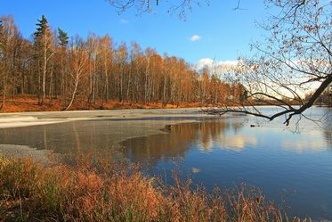 Освоение Подмосковного рынка сбыта.