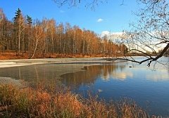 Освоение Подмосковного рынка сбыта.